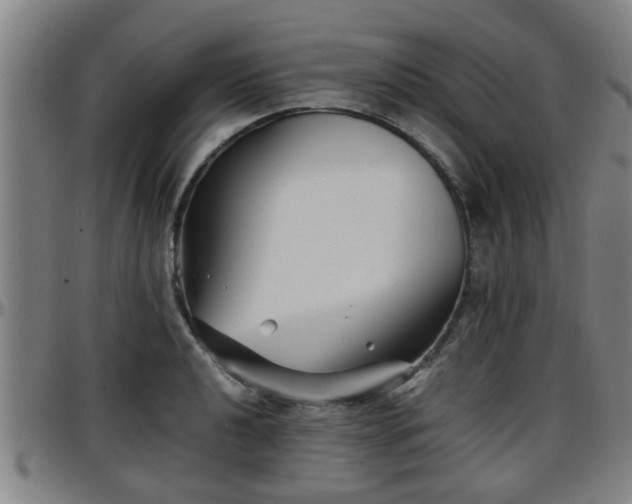 X0000096381040200801311255