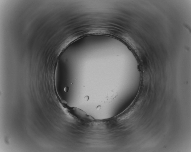 X0000096381041200801311255
