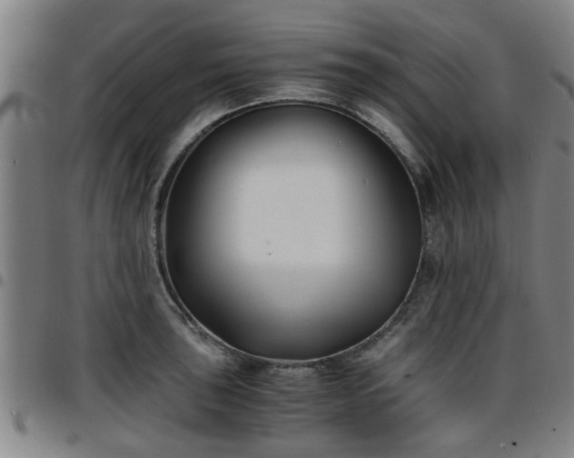 X0000096381043200801311255