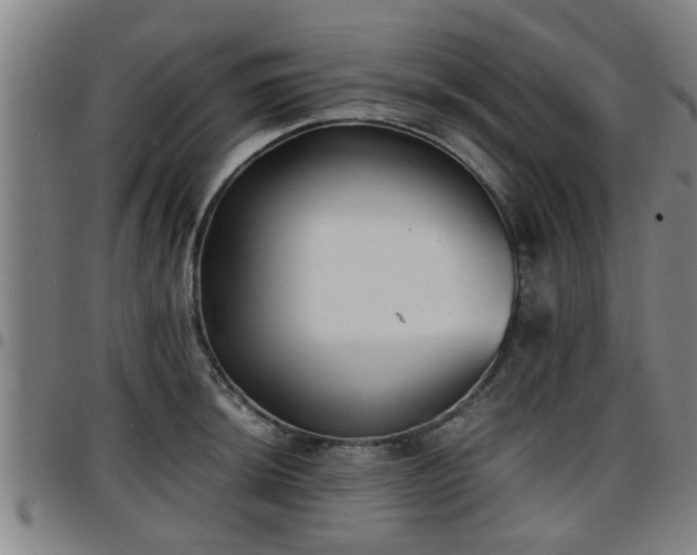 X0000096381044200801311255