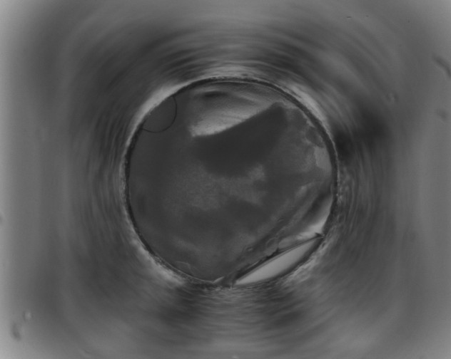 X0000096381045200801311255