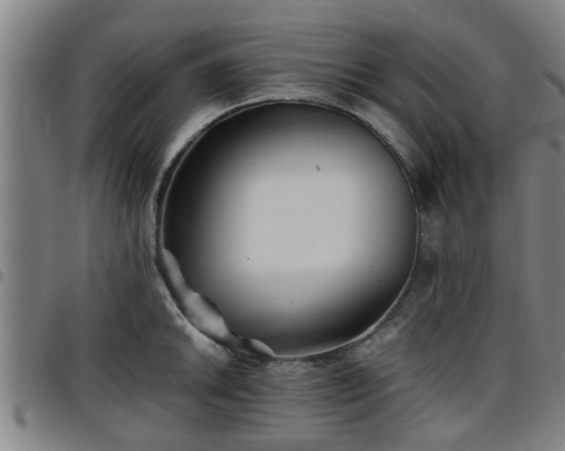 X0000096381046200801311255