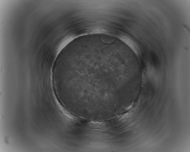X0000096381047200801311255