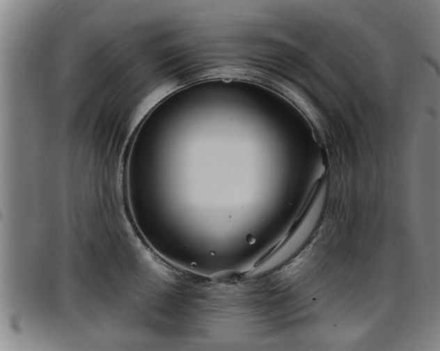 X0000096381050200801311255