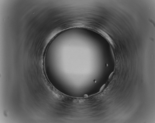 X0000096381051200801311255