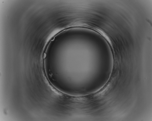 X0000096381053200801311255