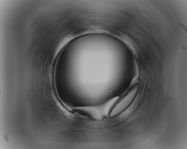 X0000096381054200801311255