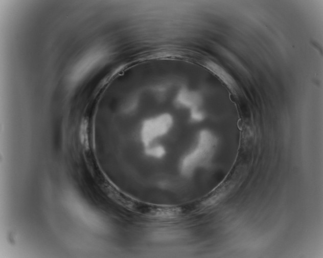 X0000096381055200801311255