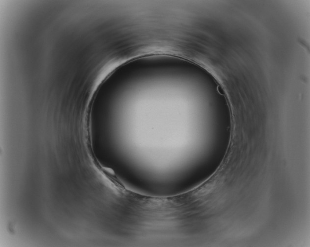 X0000096381056200801311255