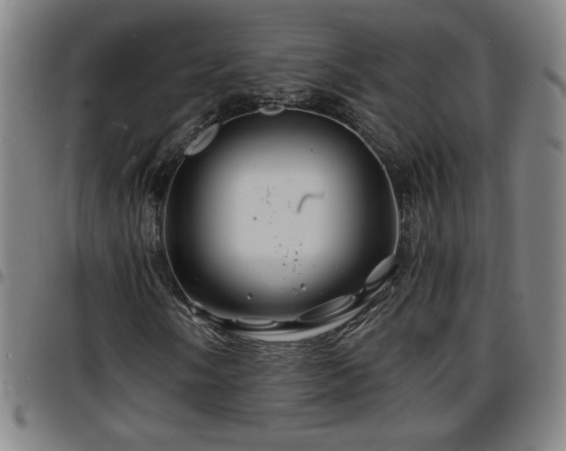 X0000096381058200801311254
