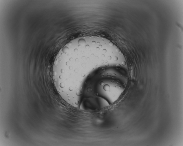 X0000096381059200801311254