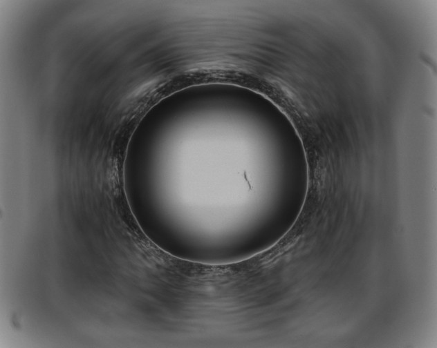 X0000096381062200801311254