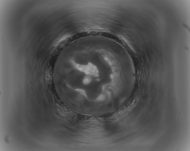 X0000096381063200801311254