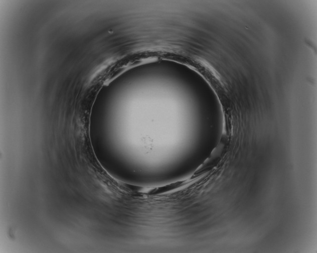 X0000096381064200801311254
