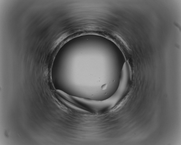 X0000096381065200801311254