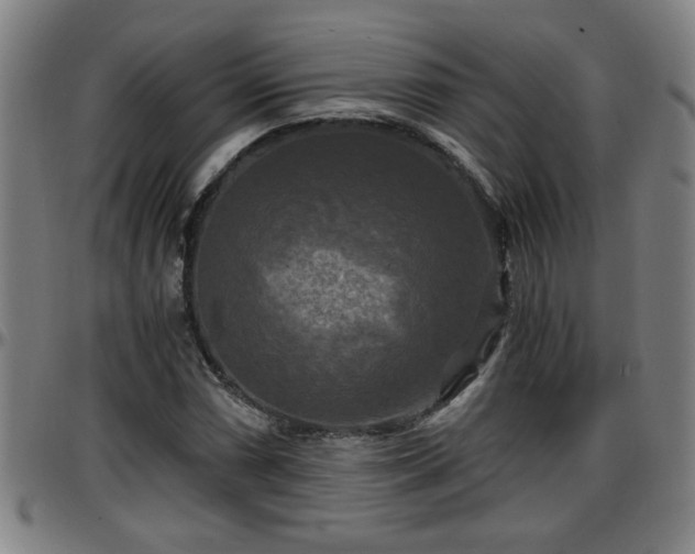 X0000096381066200801311254