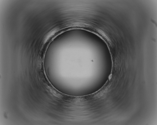 X0000096381067200801311254
