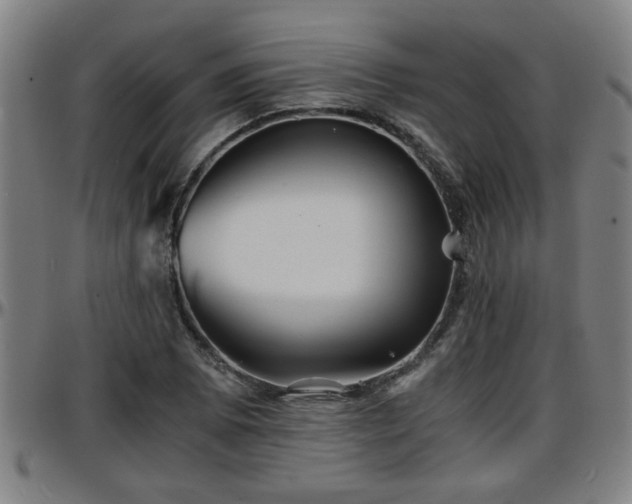 X0000096381073200801311254