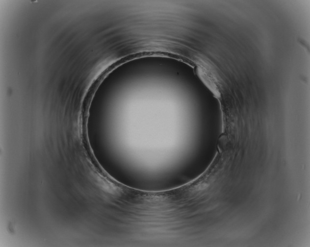 X0000096381076200801311254