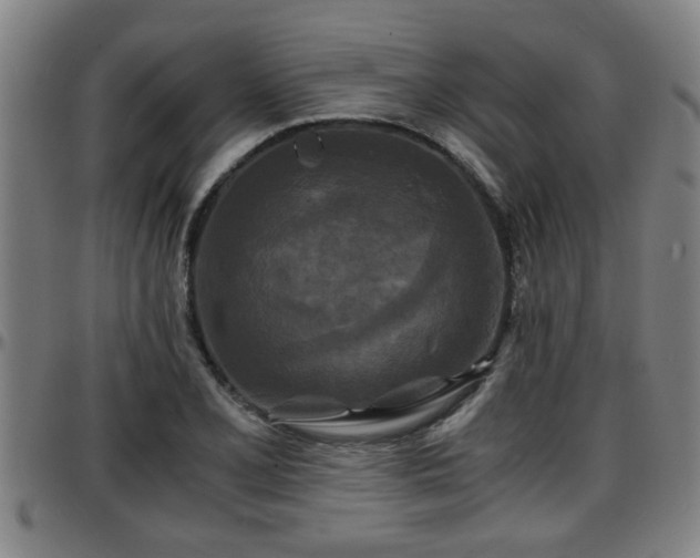X0000096381077200801311254