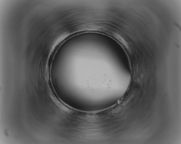 X0000096381080200801311254