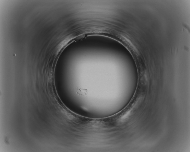 X0000096381081200801311254