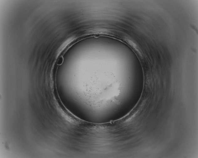 X0000096381082200801311254