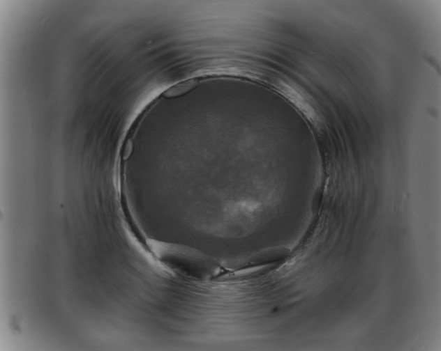 X0000096381084200801311254