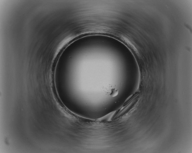 X0000096381085200801311254