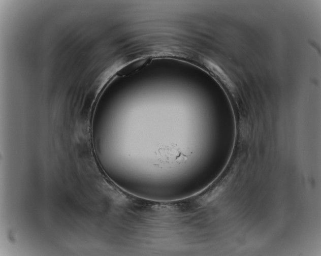 X0000096381089200801311254