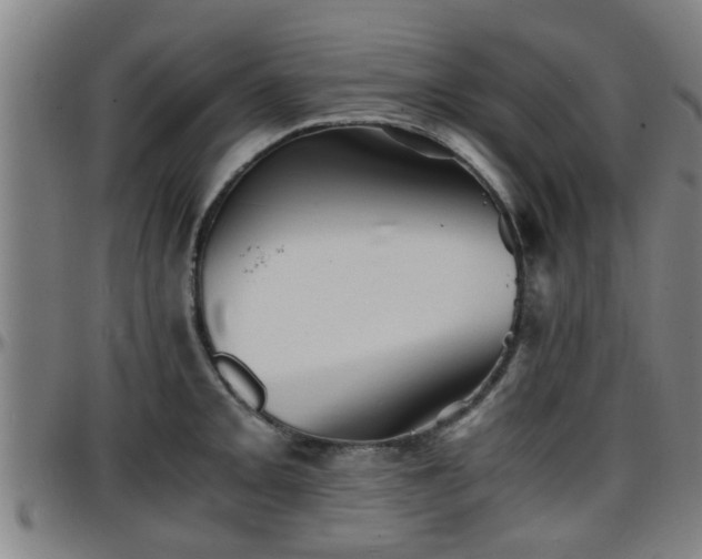 X0000096381093200801311254