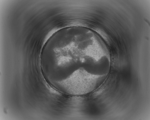 X0000096381094200801311254