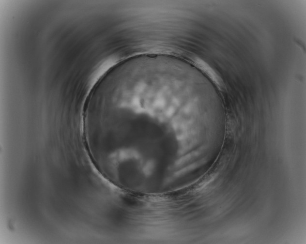 X0000096381095200801311254