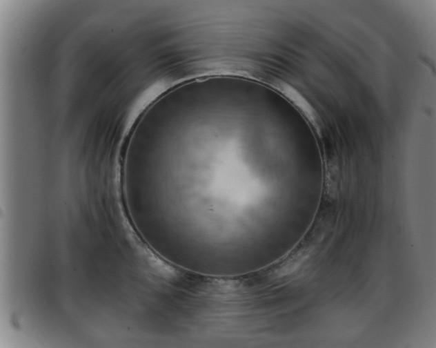 X0000096381096200801311254