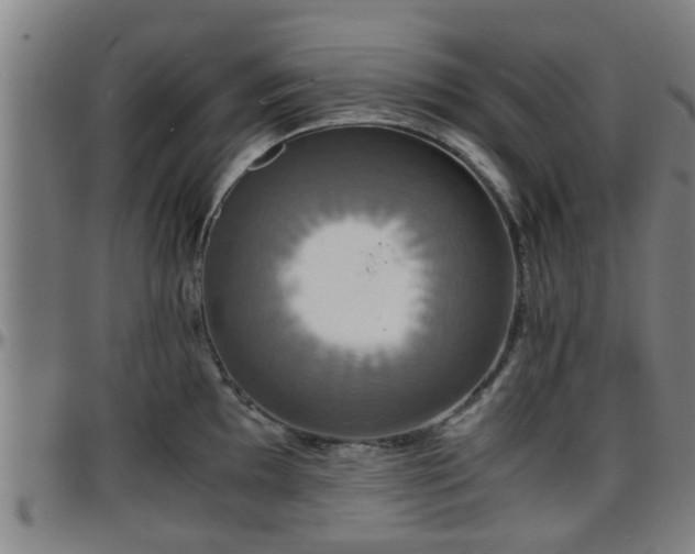 X0000096381097200801311254