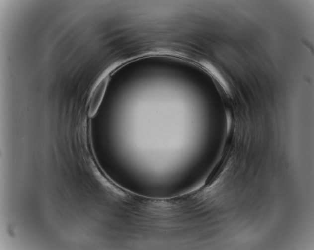 X0000096381100200801311254