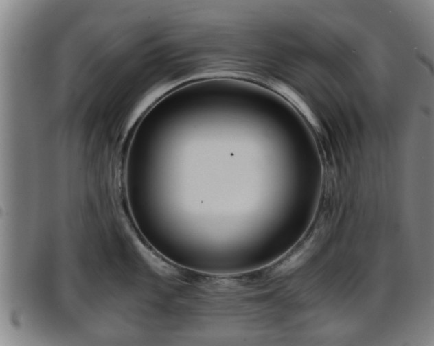 X0000096381101200801311254
