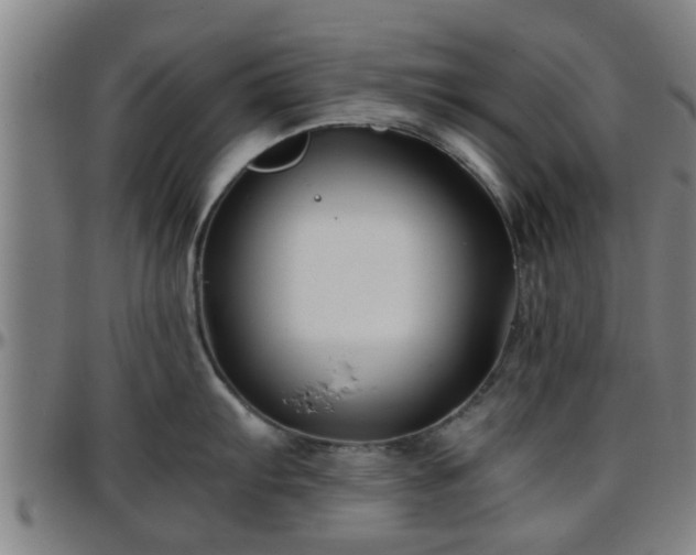 X0000096381103200801311254