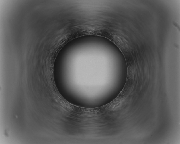 X0000096381105200801311253