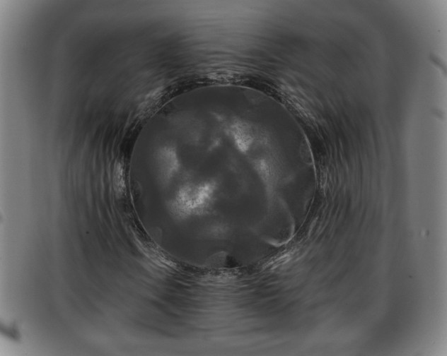 X0000096381106200801311253