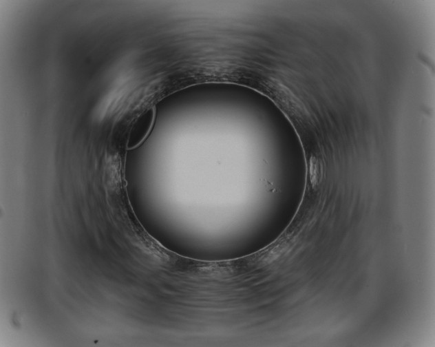 X0000096381107200801311253
