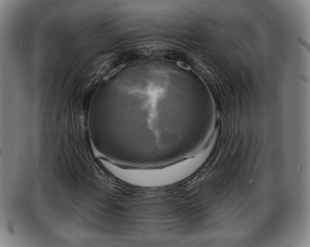 X0000096381108200801311253
