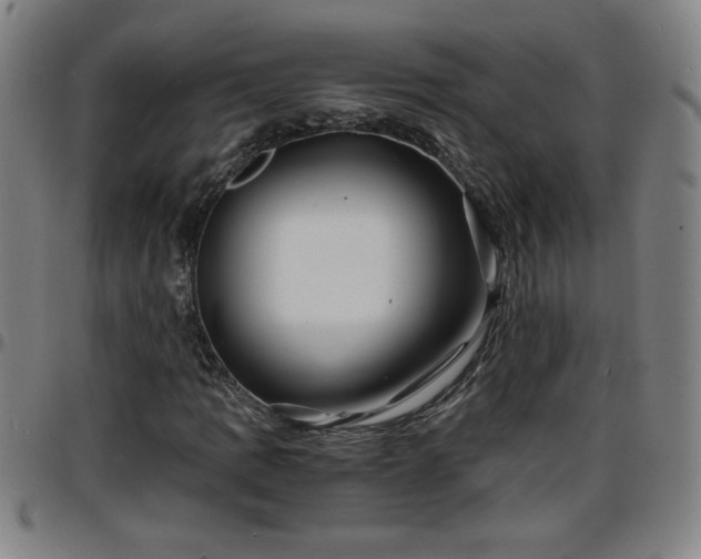 X0000096381109200801311253