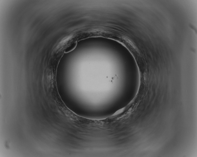 X0000096381111200801311253