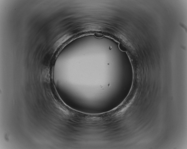 X0000096381113200801311253