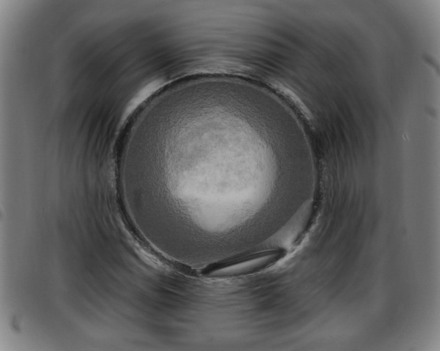 X0000096381114200801311253