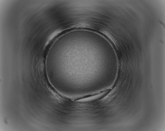 X0000096381115200801311253