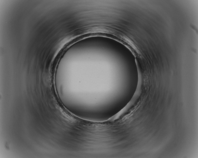 X0000096381116200801311253