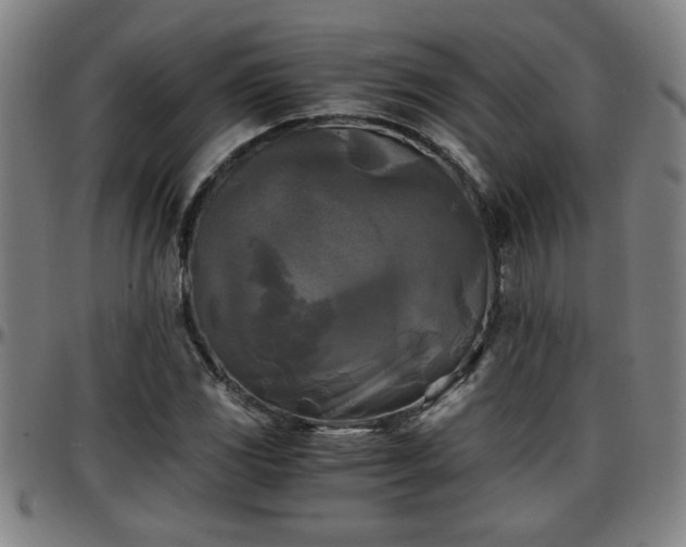 X0000096381117200801311253