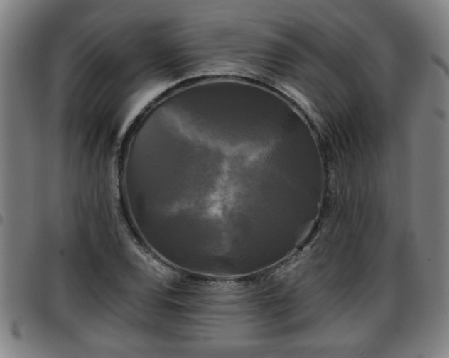 X0000096381120200801311253